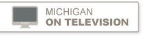 michigan in television