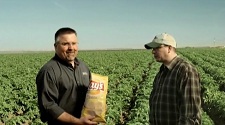 Walther Farms - Lays Commercial