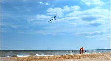 Pure Michigan TV Ad